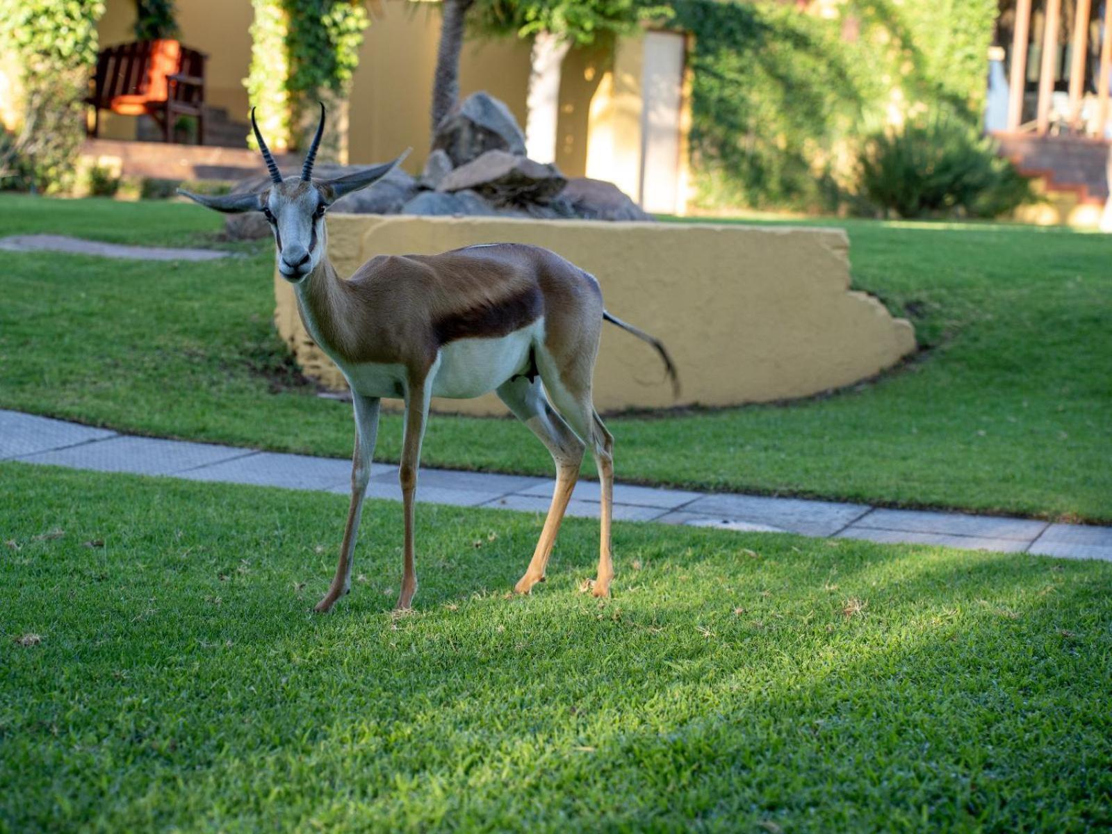 Sunriver Kalahari Lodge Upington Exterior foto